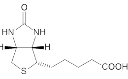 生物素标记多肽