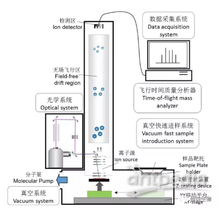 飞行质谱原理.png