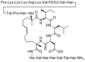 nls-stax-h_6531.png